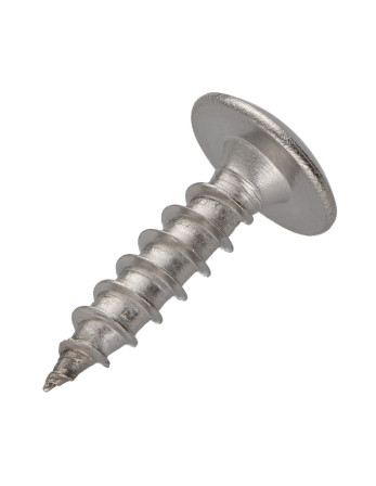 Vis Penture 6X20 Filetage total TORX T30 Inox A2