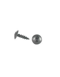 Vis Penture 6X20 Filetage total TORX T30 Inox A2 Noir