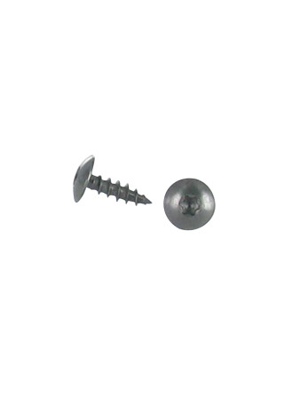Vis Penture 6X20 Filetage total TORX T30 Inox A2 Noir