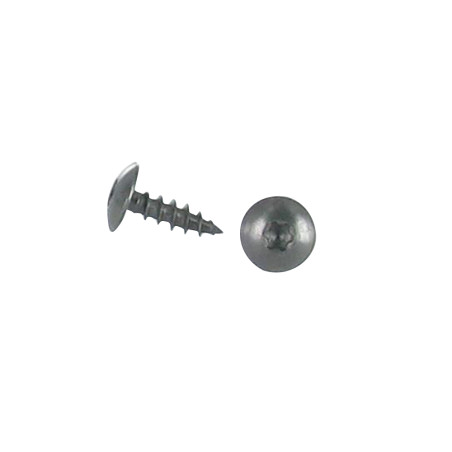 1 x Vis Penture 6X20 Filetage total TORX T30 Inox A2 Noir