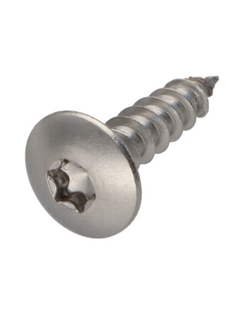 Vis Penture 6X25 Filetage total TORX T30 Inox A2