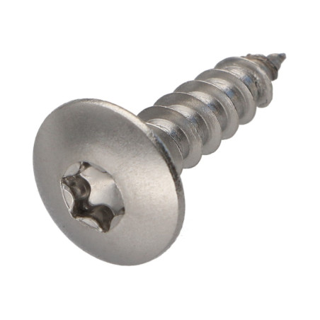 1 x Vis Penture 6X25 Filetage total TORX T30 Inox A2