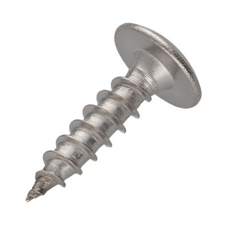 1 x Vis Penture 6X25 Filetage total TORX T30 Inox A2