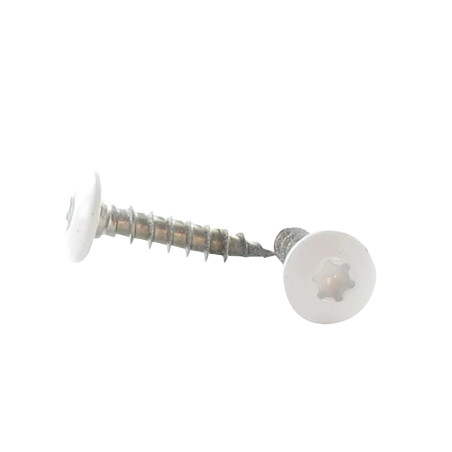 1 x Vis Penture 7X50 Filetée sur 38 TORX T30 Inox A2 RAL9016 blanc signalisation 80%BRILL