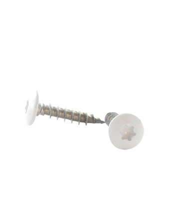 Vis Penture 6X30 Filetage total TORX T30 Inox A2 Laqué blanc RAL9016 blanc signalisation