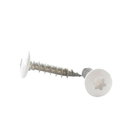 1 x Vis Penture 6X30 Filetage total TORX T30 Inox A2 Laqué blanc RAL9016 blanc signalisation