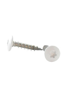 Vis Penture 7X40 Filetée sur 38 TORX T30 Inox A2 RAL9010...