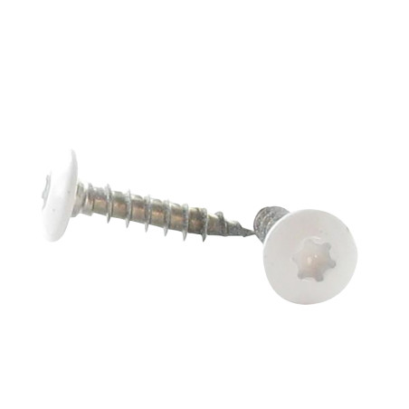 1 x Vis Penture 7X40 Filetée sur 38 TORX T30 Inox A2 RAL9010 blanc pur 80%BRIL