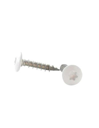 Vis Penture 7X45 Filetée sur 38 TORX T30 Inox A2 Laqué blanc RAL9010 blanc pur