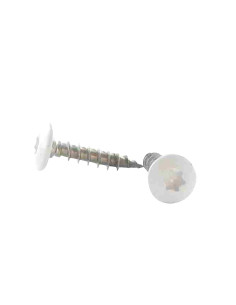 Vis Penture 6X40 Filetée sur 38 TORX T30 Inox A2 LQBLC...