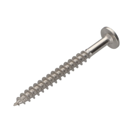 1 x Vis Penture 7X70 Filetée sur 54 TORX T30 Inox A2