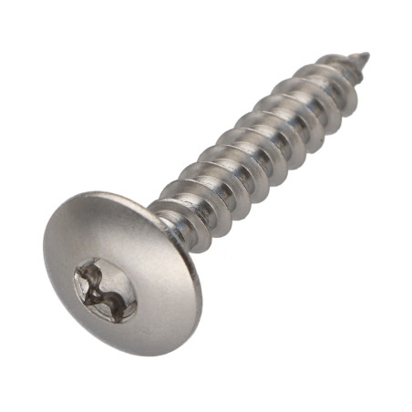 1 x Vis Penture 6X45 Filetée sur 38 TORX T30 Inox A2