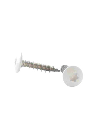 Vis Penture 6X25 Filetage total TORX T30 Inox A2 Laqué blanc RAL9016 blanc signalisation