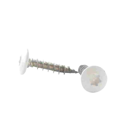1 x Vis Penture 6X25 Filetage total TORX T30 Inox A2 Laqué blanc RAL9016 blanc signalisation