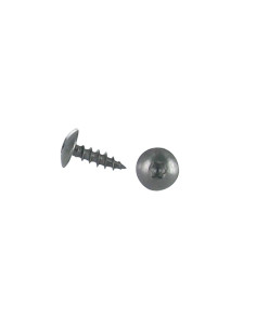 Vis Penture 6X30 Filetage total TORX T30 Inox A2 Noir