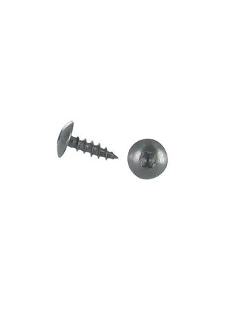 Vis Penture 6X30 Filetage total TORX T30 Inox A2 Noir