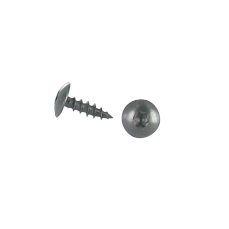 1 x Vis Penture 6X30 Filetage total TORX T30 Inox A2 Noir