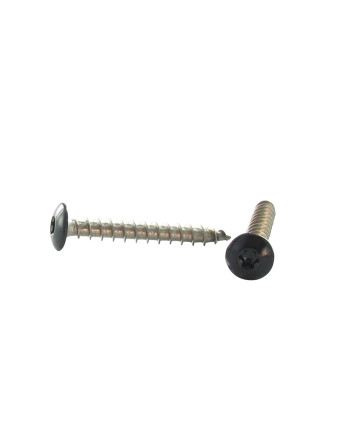 Vis Penture 7X50 Filetage total TORX T30 Inox A2 Laqué noir RAL9005 noir foncé