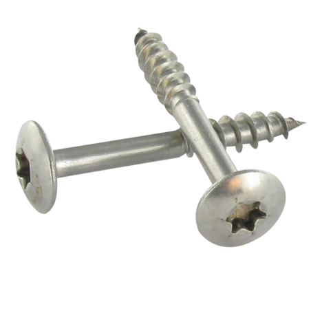 1 x Vis Penture 6X43 Filetée sur 20 Filetage partiel TORX T30 Inox A2