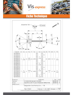 Vis Penture 6X43 Filetée sur 20 Filetage partiel TORX T30... 2