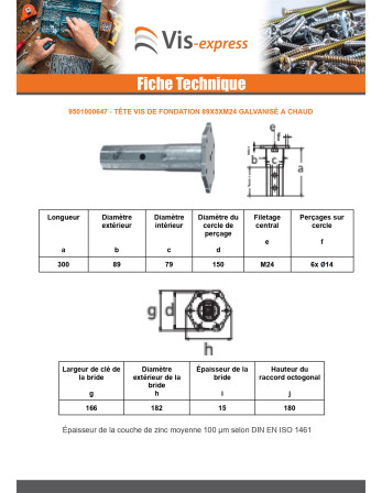 Tête vis de fondation 89X5XM24 Forte tenue à la corrosion Acier galvanisé à chaud