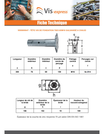 Tête vis de fondation 76X3.6XM16 Forte tenue à la corrosion Acier galvanisé à chaud