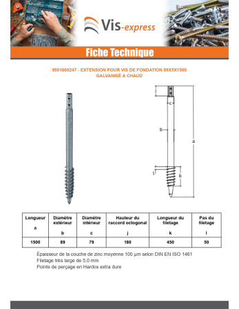 Vis de fondation 89X5X1500 Forte tenue à la corrosion Acier galvanisé à chaud