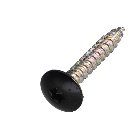 1 x Vis Penture 6X40 Filetage partiel TORX T30 Acier zingué Laqué noir 9005