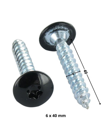 Vis Penture 6X40 Filetage partiel TORX T30 Acier zingué Laqué noir 9005