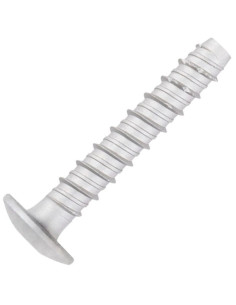 Vis béton Tête Bombée TORX TORX T30 6X40 Acier zingué