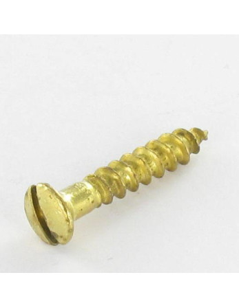 Vis bois Tête fraisée bombée TFB Fendue 5X40 Acier laitonne