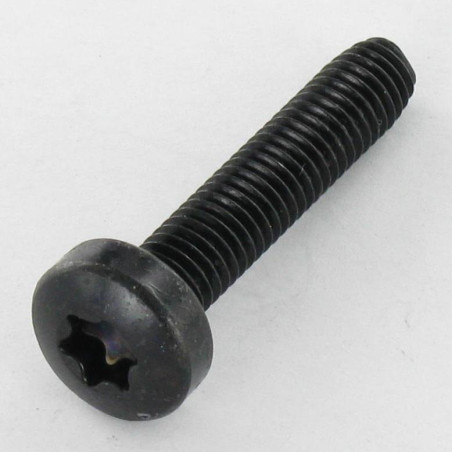 1 x Vis autotaraudeuse tête cylindrique bombée large M5X16 TORX T25 Acier zingué noir