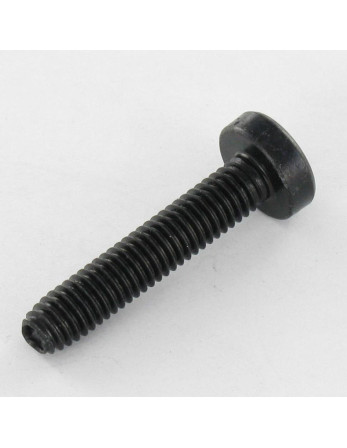 Vis autotaraudeuse tête cylindrique bombée large M5X16 TORX T25 Acier zingué noir
