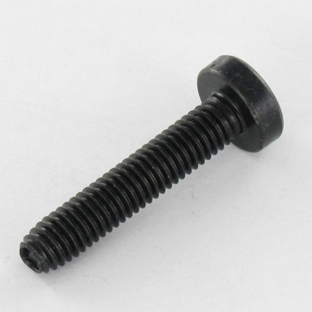 1 x Vis autotaraudeuse tête cylindrique bombée large M5X16 TORX T25 Acier zingué noir