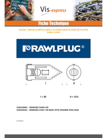 Cheville à clouer métallique 10.5X30 Avec Vis RAWLPLUG