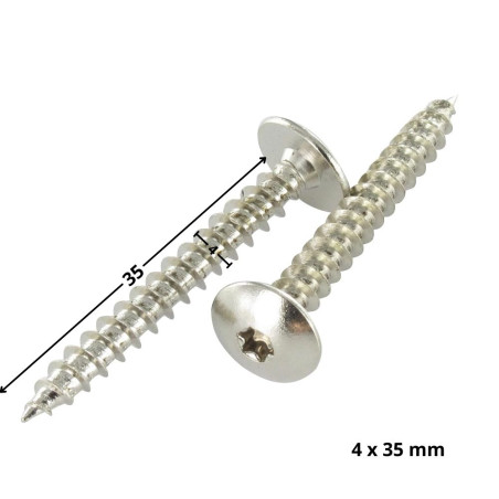 1 x Vis Penture 4X35 Filetée sur 20 TORX T20 Acier nickelé