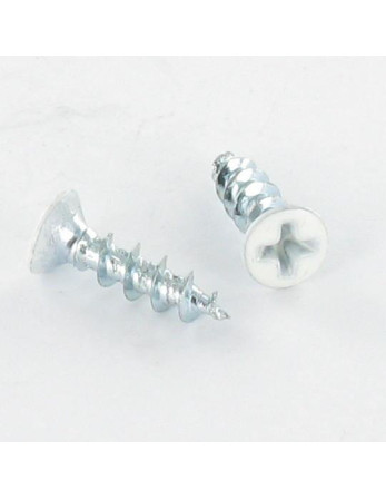 Vis pvc Tête fraisée bombée TFB Phillips 4.3X20 Autoperceuse Acier zingué RAL9016 blanc signalisation