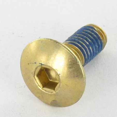 1 x Vis Poelier M6X16 Clé de 4 HC4 Acier laitonne FR