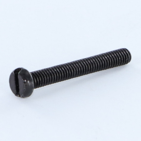 1 x Vis métaux Tête cylindrique TC Fendue M4X10 Acier zingué noir