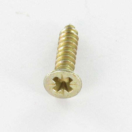 1 x Vis tôle Tête fraisée Pozi 4.2X25 Bichromaté
