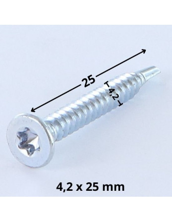 Vis autoperceuse Tête fraisée TORX T20 4.2X25 Acier zingué