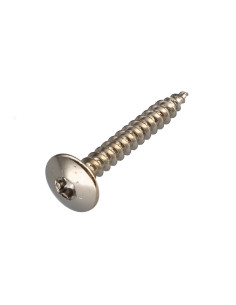 Vis Penture 6X50 Filetage partiel TORX T30 Acier nickelé
