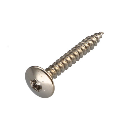 1 x Vis Penture 6X50 Filetage partiel TORX T30 Acier nickelé
