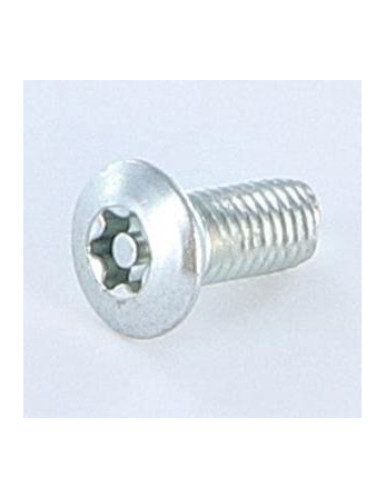Vis autotaraudeuse Inviolable 5X12 Tête fraisée bombée TFB T25+TETON Acier zingué