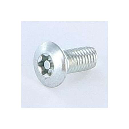 1 x Vis autotaraudeuse Inviolable 5X12 Tête fraisée bombée TFB T25+TETON Acier zingué