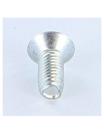 Vis autotaraudeuse Inviolable 5X12 Tête fraisée bombée TFB T25+TETON Acier zingué