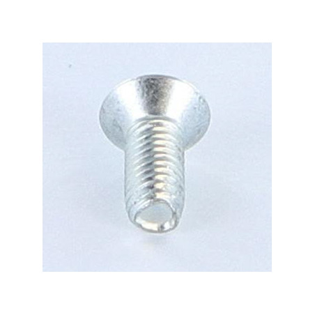 1 x Vis autotaraudeuse Inviolable 5X12 Tête fraisée bombée TFB T25+TETON Acier zingué