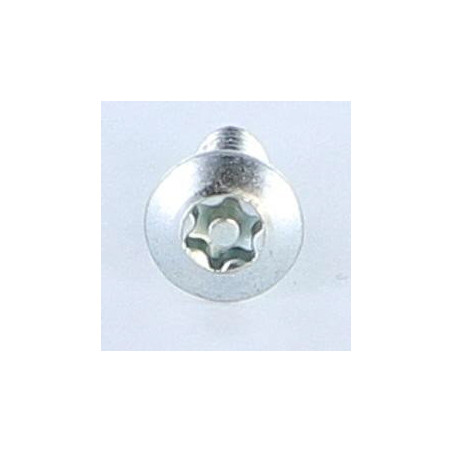 1 x Vis autotaraudeuse Inviolable 5X12 Tête fraisée bombée TFB T25+TETON Acier zingué