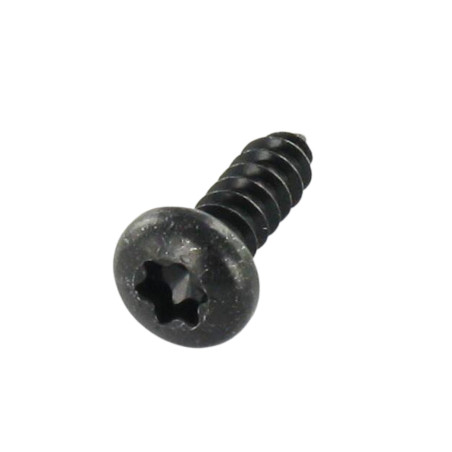 1 x Vis tôle Tête cylindrique TC 4.2X13 TORX T20 Acier zingué noir