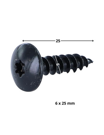 Vis bois TEKOR Vis Penture 6X25 Filetée sur 25 TORX T30 Acier zingué noir Pointe antifendage type 17
